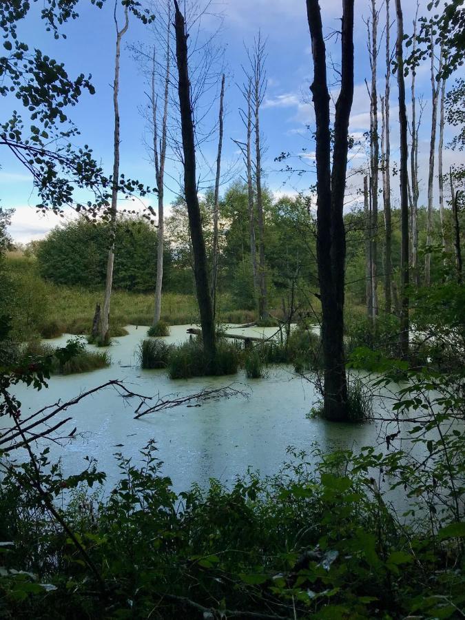 Srokowski Dwor 1 - Lesny Zakatek - Prywatna Sauna! Srokowo